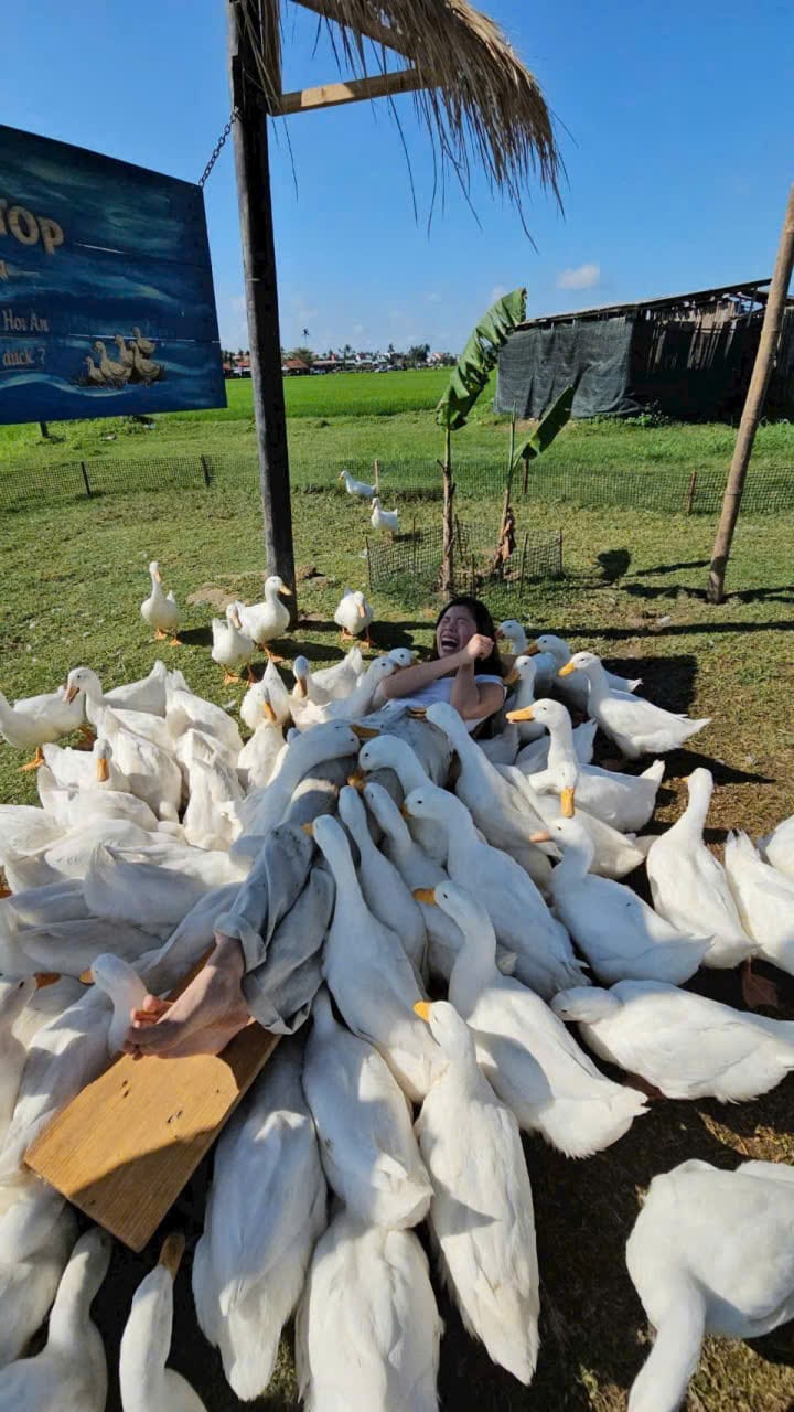 VIETNAMESE COOKING CLASS – DUCK FARM & BUFFALO RIDING