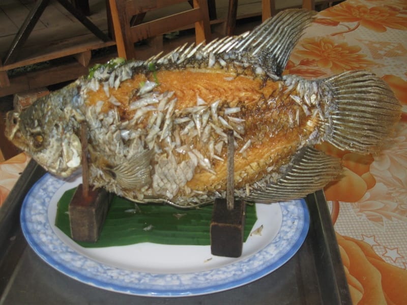1:00PM Enjoy local lunch in Mekong Delta