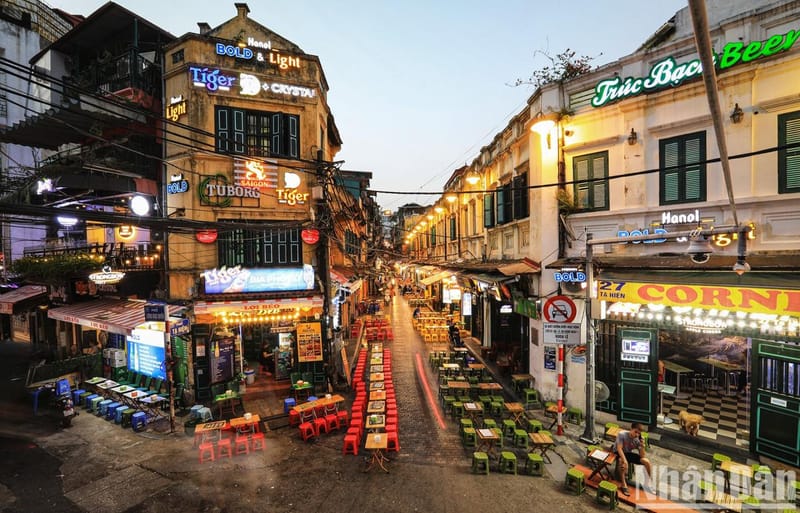 Day 5: Marble Mountains – Cam Thanh Coconut Forest – Hoi An