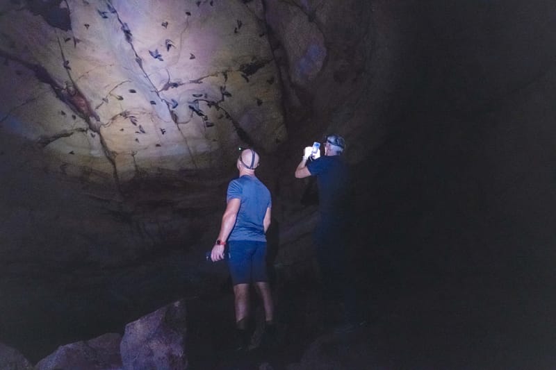 Bat cave