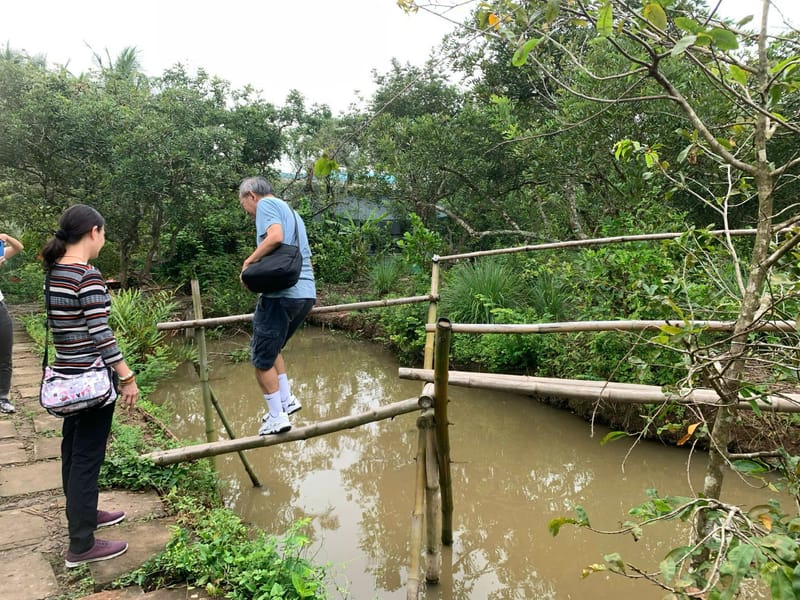 Local Island & Village Experience-Continue to one of the Mekong Delta islands and explore the peaceful countryside.