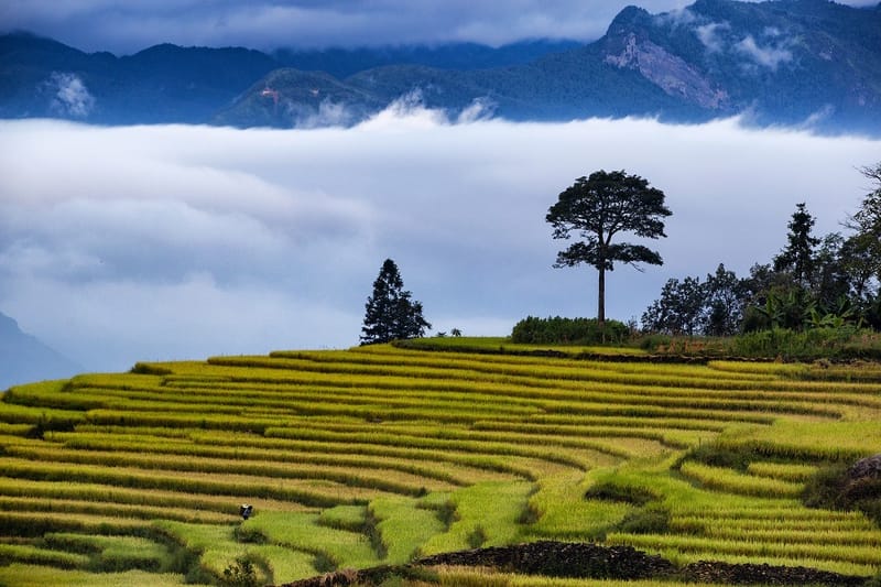 Day 3: Ban Gioc – Me Pia Pass – Bao Lac – Meo Vac (B)