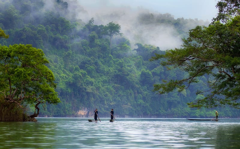Day 1: Hanoi – Thai Nguyen – Ba Be National Park – Boat trip on Ba Be Lake (L)