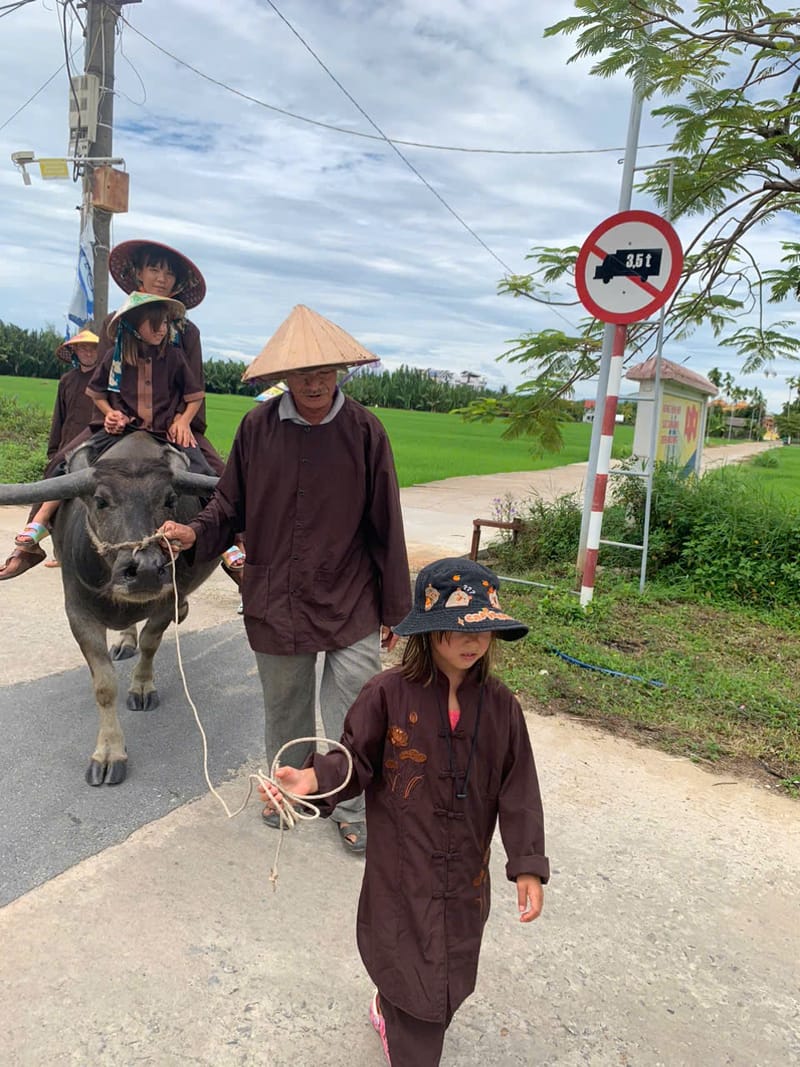 Riding Water Buffalo