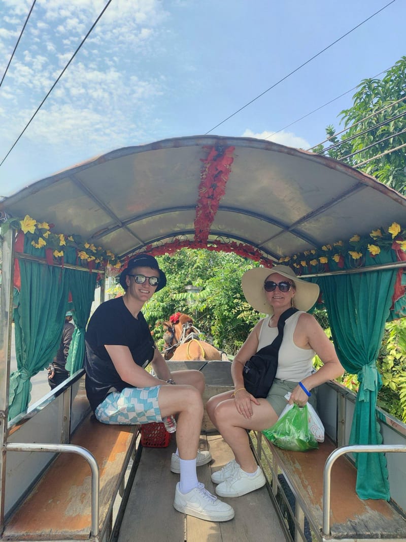 4:00PM Local horse cart to visiting