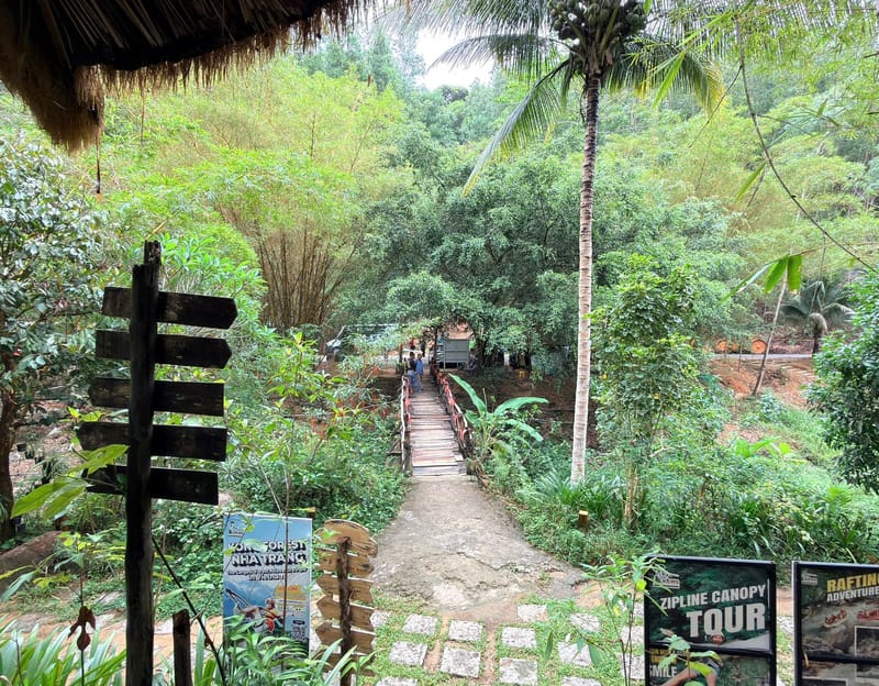 Departure from Kong Forest
