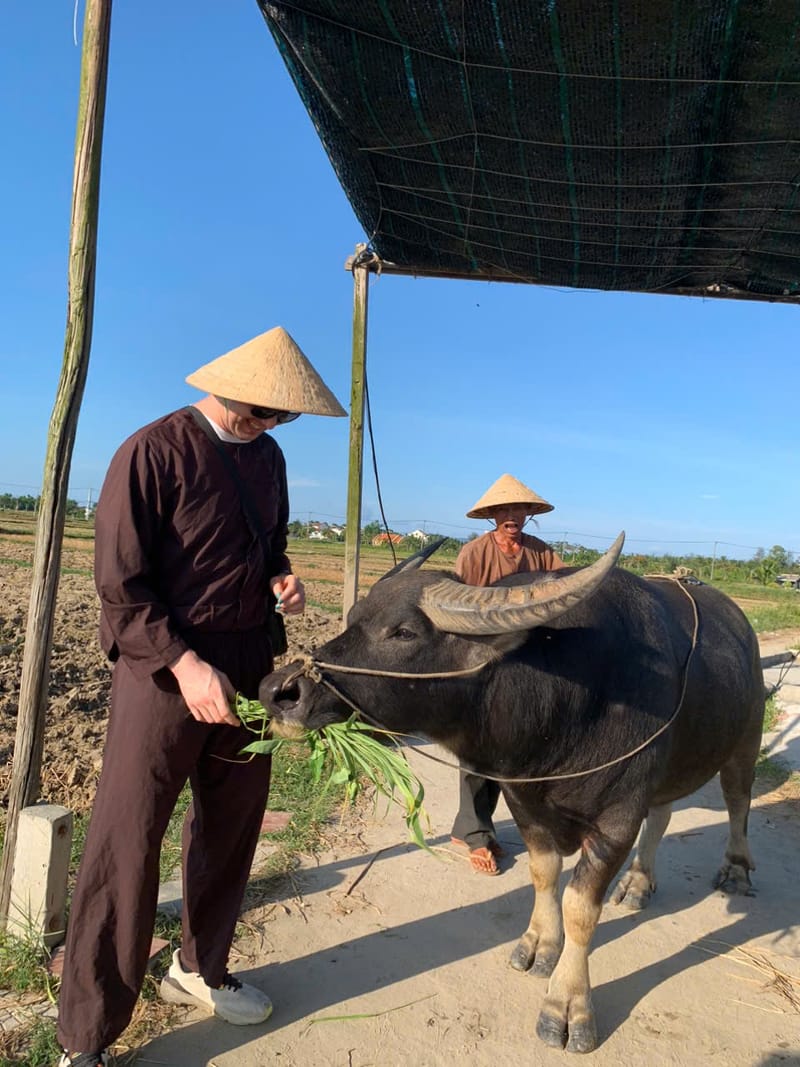 Feeding the buffalo