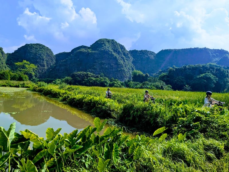 Village Cycling & Ancient Pagodas
