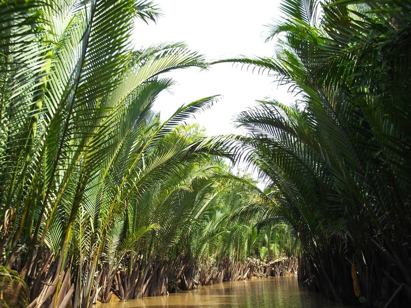 4:30PM Coconut canal