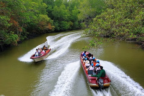 Ho Chi Minh City Mangrove Forest Can Gio & UNESCO Biosphere Reserve  - Full Day