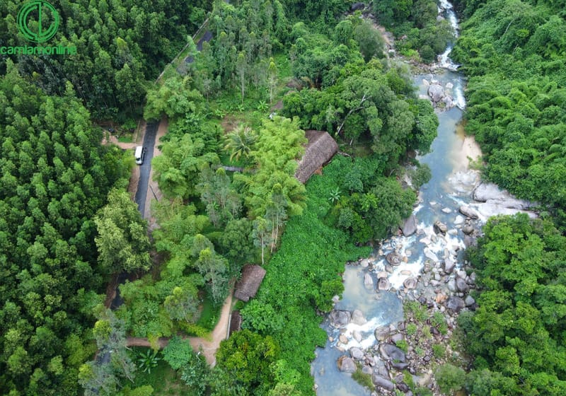 Travel to Kong Forest
