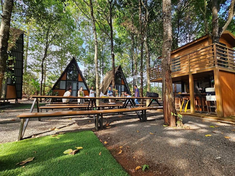 Lang Truong Tho Farmstay Tour & acoustic music
