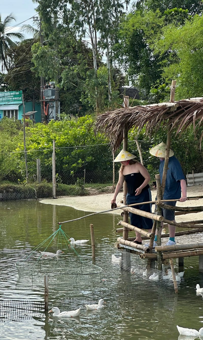 Feed fish from a bamboo bridge