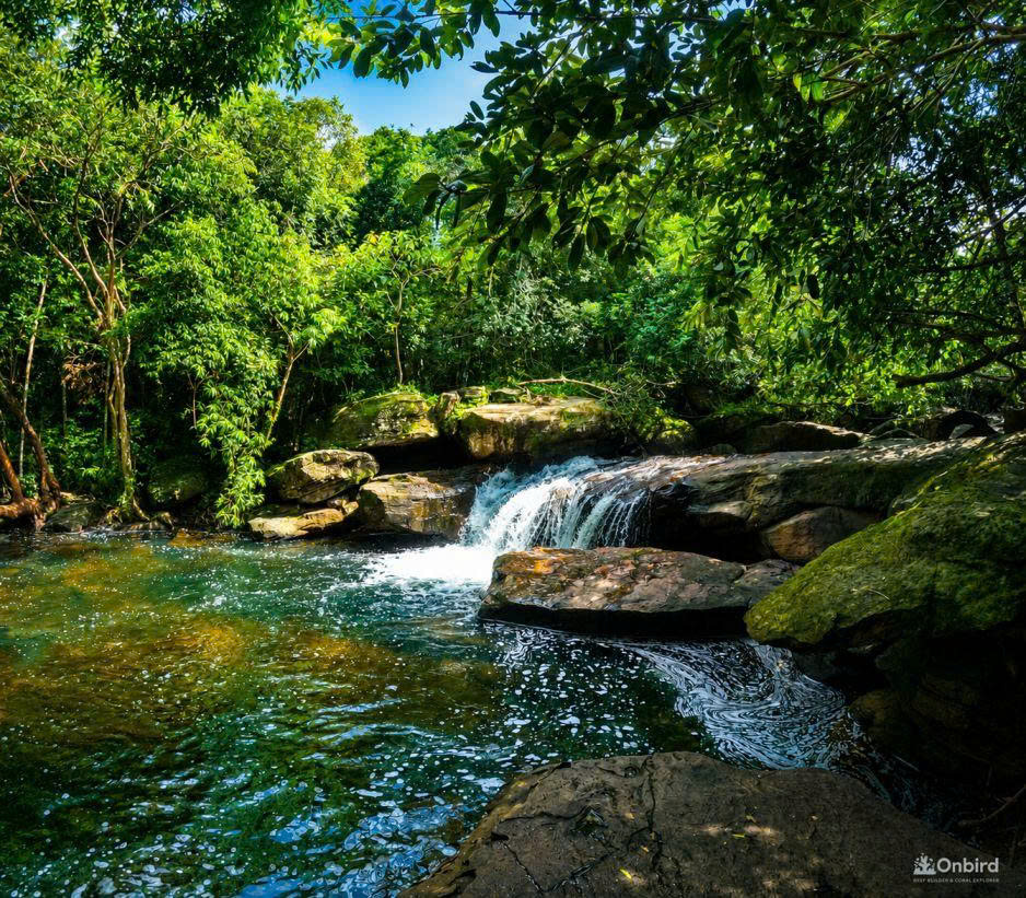Fairy Stream (Suối Tiên)