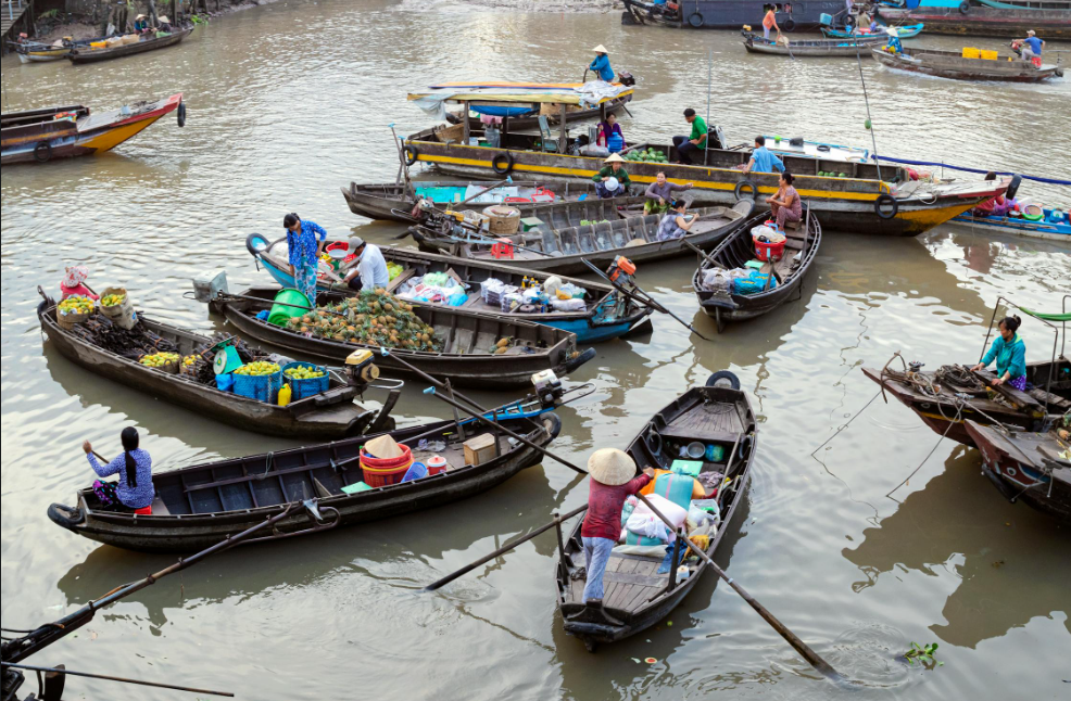 DAY 9: CAN THO - MEKONG DELTA - HO CHI MINH CITY | FLOATING MARKET & CITY TOUR OF CAN THO (B/L/-)
