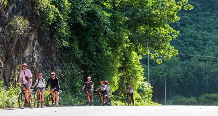Ninh Binh: Cycling Through Hoa Lu & Scenic Boat Ride