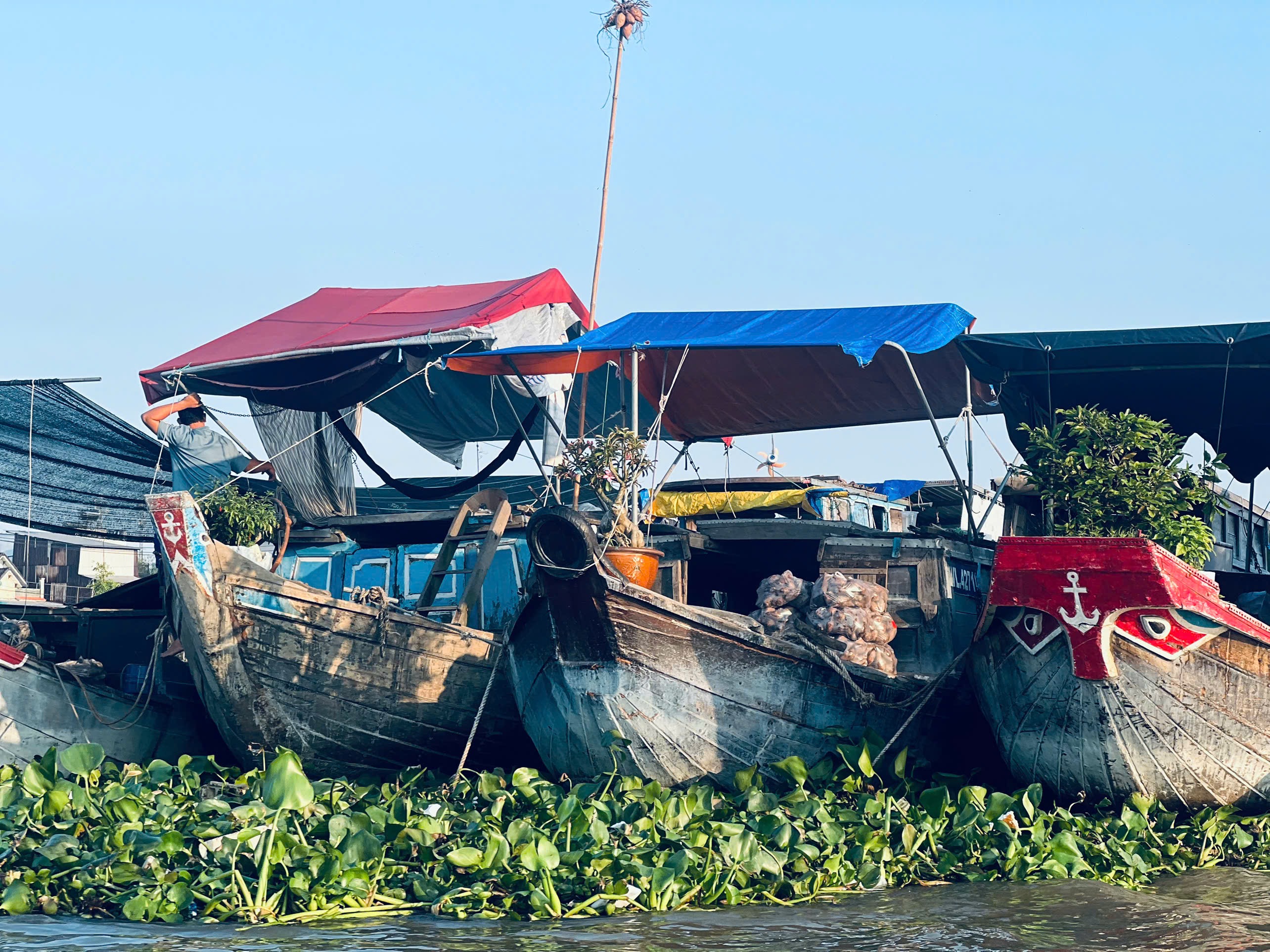 Can Tho Cai Rang Floating Market: Breakfast, Canals & Local Life include Pick up