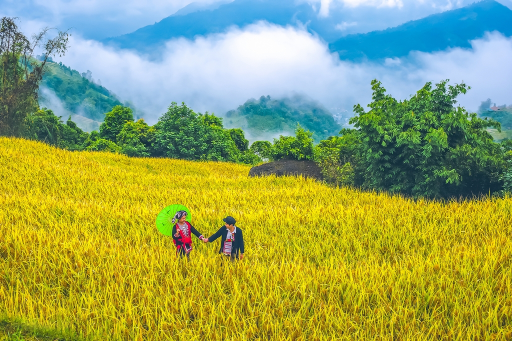 Ha Giang Loop Photography Tour – 5 Days of Pure Visual Magic