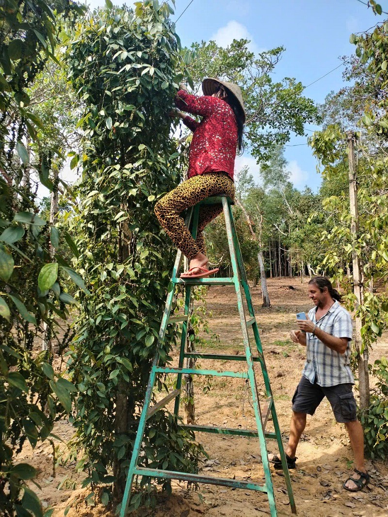 A family pepper garden